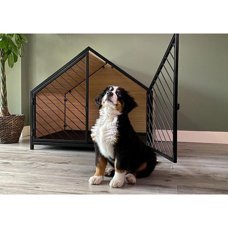CASA PARA MASCOTA 065