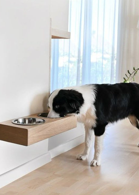 COMEDERO PARA MASCOTA 068 - shopCOMEDERO PARA MASCOTA 068_name