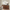 CREDENZA HAWAII 035 - shopCREDENZA HAWAII 035_name